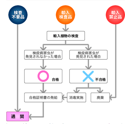 食品検疫